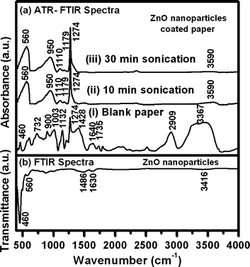 (a) ATR-FTIR spectra obtained from (i) blank paper and ZnO nanoparticles coated paper obtained after (ii) 10 and (iii) 30 min of sonication. (b) Representative FTIR spectra of ZnO nanoparticles after 30 min of sonication in presence of NH4OH.