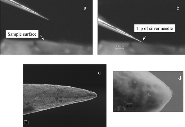 Photograph of position of silver needle (a) far away from gel surface, (b) on the sample surface, and (c) and (d) SEM micrographs of a silver tip.