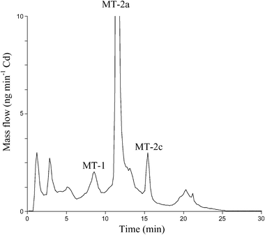 Mass flow chromatogram obtained for the separation of eel liver MTs (control group) by AE-FPLC-ICP-MS. Total content of Cd injected in the chromatographic system was 16 ng.