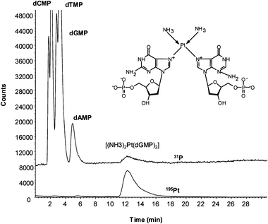 HPLC-ICP-MS chromatogram of the separation of DNA-nucleobases and the synthesized adduct [(NH3)2Pt (dGMP)2] using the Discovery amide C16 column showing the 31P and 195Pt traces. The inset shows the structure of the synthesized adduct. Chromatographic conditions summarized in Table 1.