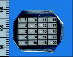Tray with a numbered grid used for fixing small glass samples. The ruler minimum divisions are in mm.