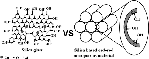 Schematic illustration of bioactive glass and ordered mesoporous materials, which shows that both materials exhibit high silanol concentration.
