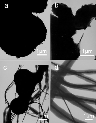 (a–d) TEM images of the shape evolution of products after reaction at 200 °C (pH = 11.3) for different periods: (a) 6 h, (b)12 h, (c) 36 h, (d) 72 h.