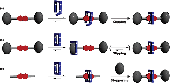 Three different methods for the construction of [2]rotaxanes. Clipping13 (a) involves the template-directed self-assembly of a CBPQT4+ ring onto the recognition unit of a dumbbell. The slipping14 process (b) requires the cyclophane to, upon thermal activation, pass over the bulky stopper at one end of the dumbbell. Alternatively, the formation of a [2]pseudorotaxane, followed by the addition of bulky stoppering units, may also be used to form [2]rotaxanes in a process (c) referred to as threading-followed-by-stoppering.15