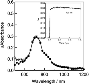 Nanosecond transient absorption spectra of 0.1 mM C60-(PTMH)2 observed by 532 nm laser irradiation at 100 ns (●) and 1000 ns (○) in PhCN. Inset: Absorption–time profiles at 720 nm.