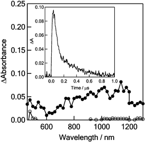 Nanosecond transient absorption spectra of 0.05 mM C60–(PTM−)2 observed by 355 nm laser irradiation at 100 ns (●) and 1000 ns (○) in toluene. Inset: Absorption–time profiles at 1020 nm.