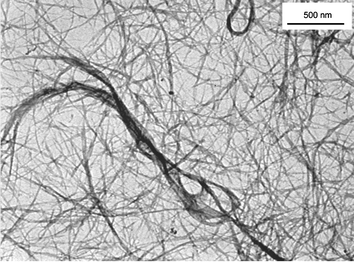 TEM image of SWNT/H2P nanohybrids from a DMF suspension.