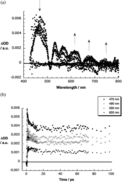 Upper part: differential absorption spectra (visible) obtained upon femtosecond flash photolysis (387 nm) of SWNT/H2P with several time delays between 0 and 50 ps at room temperature. Lower part: time–absorption profiles of the spectra shown above at 470, 490, 530, and 620 nm.