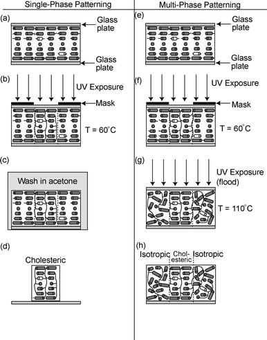 Process flow diagram for photopatterned liquid crystalline polymer films. Single-phase patterned films are fabricated by aligning a mixture of liquid crystalline monomers, chiral dopant, and UV initiator using surface alignment layers in a cell configuration (a), selectively polymerizing the mixture through a mask in the cholesteric phase (b), removing the top plate from the cell and washing away unpolymerized material in a solvent such as acetone (c), which yields a structured cholesteric film on a substrate (d). Multi-phase structures can be produced by aligning a mixture of liquid crystalline monomers, chiral dopant, and UV initiator using surface alignment layers in a cell configuration (e), polymerizing the mixture through a mask (f), and removing the mask, heating the sample into the isotropic phase, and flood exposing the sample to polymerize unreacted monomers (g). The final result of this process is a solid film comprised of isotropic and cholesteric regions (h).