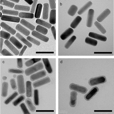 TEM images of (a) gold nanorods, (b) Au/Ag core/shell nanorods, (c) Au/Ag2S core/shell nanorods, and (d) Au/Ag2Se core/shell nanorods. Scale bars = 50 nm.