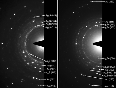 The SAED patterns from (left) Au/Ag2S core/shell nanorods, and (right) Au/Ag2Se core/shell nanorods. For each diffraction pattern, there are about 10 particles in the viewing area. Each arrow points to a characteristic spot in the diffraction ring. The diffractions from gold serve as the internal standard, with its lattice constant taken as 4.0786 Å.16