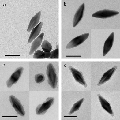 TEM images of (a) gold bipyramids, (b) with silver coating, (c) with silver sulfide coating, and (d) with silver selenide coating. Scale bars = 50 nm.