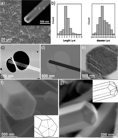 a) SEM image of C60 rods. Inset is a SEM image of a single C60 rod. Note the contrast differences between areas 1 and 2 or areas 2 and 3. b) Histogram showing the respective distributions of lengths (left) and diameters (right) of 100 randomly selected C60 rods. c) SEM image and d) corresponding STEM image of one C60 rod. The latter reveals that the C60 rod is solid rather than hollow (cf. a) inset and c)). e) Representative TEM image of the sample sliced by microtome, confirming the solid hexagonal cross section. f) SEM image showing the end profile of an individual C60 rod. Inset is the schematic structural diagram. g) SEM image recorded from the tip of a second C60 rod showing the faceting more clearly. The inset structural diagram indicates that this faceted tip is symmetrically composed of six rhombuses individually bisected by the faceting present in the body of the C60 rod.