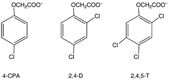 Molecular structures and abbreviations for chlorophenoxyacetate herbicides.