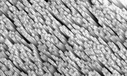 ZnS nanowire bundles from Moore and Wang.