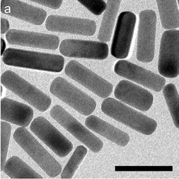 Gold nanorods from Guyot-Sionnest et al.