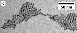 Gold tipped CdS nanorods from Manna, Cozzoli et al.