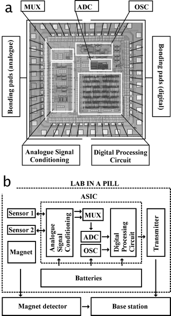 (a) Layout plot of the 4.5 mm × 4.5 mm application specific integrated circuit control chip (ASIC), and the associated flow chart (b) illustrating the integration of the ASIC in the lab-in-a-pill. The acronyms explained are MUX (multiplexer), ADC (analogue to digital converter), and OSC (32 kHz oscillator). The large bonding pads allow repetitive use of wire bonding for test and verification prior to integration in the lab-in-a-pill.