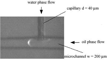 Micrograph of the cross section of the microfluidic device.