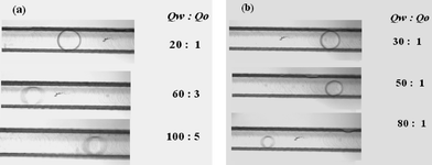 Micrographs illustrating the influences of two-phase flow rates on oil drop sizes. (a) Effect of total flow rate when the value of Qw/Qo is fixed at 20. (b) Effect of water flow rate at a fixed oil flow rate of 1 µL min−1. The units of flow rates in the figures are all µL min−1.