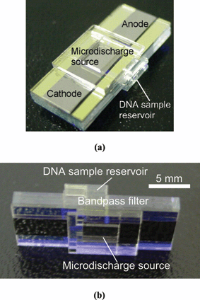 Pictures of the fabricated chip. The device measures 10 mm × 20 mm.