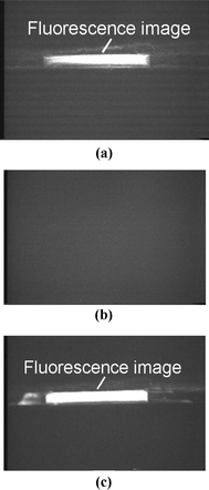 (a) Photograph of the fluorescence image of SYBR green tagged DNA, using the microdischarge source as the excitation. (b) Reference image with water instead of tagged DNA, showing no fluorescence. (c) Photograph of fluorescence image of SYBR green tagged DNA using a commercial UV lamp source (100 W mercury arc lamp).