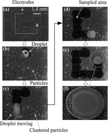 Sequential pictures of 7.9 µm diameter borosilicate glass bead sampling viewed through the transparent top glass plate. The particles (even clustered particles) on the flat solid surface can be efficiently sampled into the droplet. The dashed line in (a) indicates the path of the droplet; (f) close-up view of the droplet. The sampled particles are suspended within the droplet.