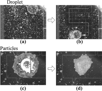 Sequential pictures of particle sampling of Teflon-coated glass beads (super hydrophobic, 7.9 µm in diameter): (a) Teflon-coated particles and a water droplet are deposited; (b) the droplet is sampling the particles along the electrowetting-actuated path; (c) magnified view of the droplet. Most particles are adsorbed on the air-to-water interface. Note that the top glass cover is removed to enhance evaporation; (d) the sampled particles are piled up on the surface after the water droplet is completely evaporated.