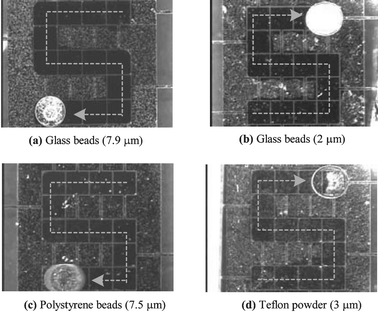 Sampling results of different particle types. Droplets are moved along the ‘s’ letter path. Except for the Teflon powder case, the paths become clean (not frosted) after the droplets passed, showing the high sampling efficiency. The magnified views for the Teflon powder case are shown in Fig. 7.