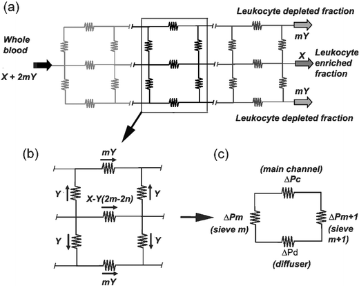 Device modelling: (a) Microfluidic circuit represented as a network of resistors with each resistor representing the resistance to fluid flow. X and nY are outputs at the outlets and X + 2nY is the volume of sample through the inlet. (b) This network can be divided into repetitive modules with each module containing a part of the channel, diffuser and two sets of filter elements. (c) Each module can be further reduced to a closed loop where ΔPc, ΔPd, ΔPm and ΔPm+1 are the pressure gradients across the section of the channel, diffuser and filter elements m and m + 1.