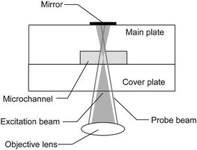 Optical configuration of an excitation beam, a probe beam and a microchip. The focal length of the probe beam was set 250 µm (a value in air) longer than that of the excitation beam.