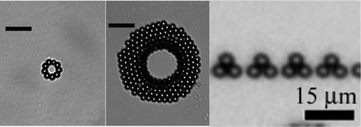 Magnetic microparticles (2.8 µm Dynabeds) assembled into rings107 and pyramids106 (with permission of the ACS).