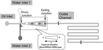 Schematic diagram of the microchannel pattern. The dimension of the tapered chamber is shown as a
						×
						b
						×
						c.