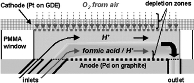 Schematic design of a laminar flow-based fuel cell with a porous, air-breathing gas diffusion electrode. (Adapted with permission. Copyright 2005, American Chemical Society.)