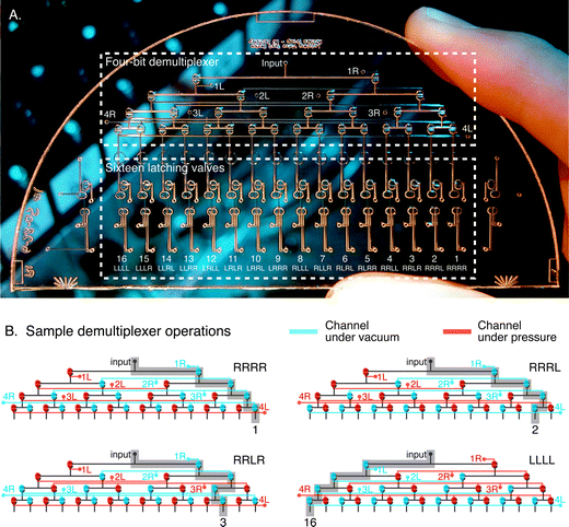 A, Photograph of the multiplexed latching valve test device, with a four-bit demultiplexer (top box) for routing pressure and vacuum pulses from the single “input” connection to each of sixteen latching valves (bottom box). B, Illustrations of the demultiplexer during four of the sixteen possible addressing operations. Each unique assignment of pressure and vacuum to the four rows of demultiplexer valves routes a single pressure/vacuum source at “input” to one of sixteen latching valves. The device can set a latching valve every 120 ms and set all sixteen valves to any arbitrary pattern every 2 s.