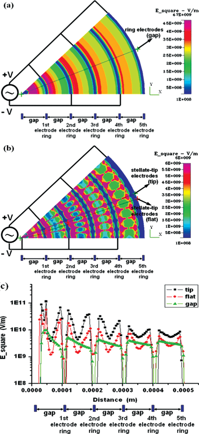Numerical simulation of DEP induced by applying the potentials of 5 V peak–peak at 1 MHz for the concentric-ring-array electrodes and for the concentric-stellate-tip array electrodes. (a) The distribution of the root mean square of ac electric field (Esquare) for the concentric-ring-array electrodes. (b) The distribution of Esquare for the concentric-stellate-tip-array electrodes. (c) The numerical comparison for the Esquare versus the radial distance from the center of ring circles. The triangle marked line represents the Esquare values along the radial line as shown in (a) for concentric-ring-array electrodes. The square and the diamond marked lines represent the Esquare values along the radial line crossing the stellate-tips and the smooth electrode ring, respectively, as shown in (b).