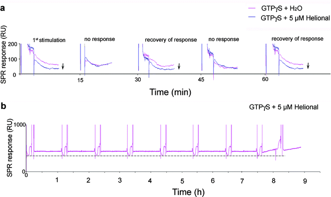 Successive responses of the immobilized cmyc-OR1740 receptor. (a) If the cmyc-OR1740 receptor is stimulated several times in a row with 5 µM helional and 10 µM GTPγS, a minimum 30 min lapse-time is necessary between two stimulations to observe its activity. (b) If a 1 h lapse-time is allowed between two consecutive injections of 5 µM helional and 10 µM GTPγS, the same activity level (- - -) is observed from the receptors in immobilized nanosomes for up to 8 activation cycles.