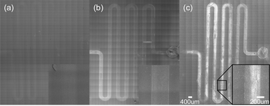 Large format tiled SEM micrographs (each with 266 frames) of the detection chambers of microfluidic devices after the bio-barcode assay was run on the chip with samples containing (a) no PSA, (b) 500 aM PSA, and (c) 50 fM PSA. The inset in C shows one frame acquired under 250× magnification.