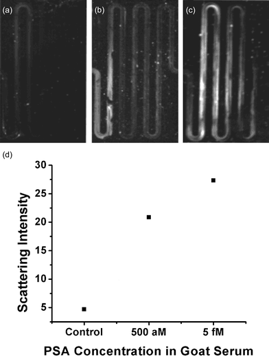 Light scattering images of goat serum samples spiked with (a) no PSA, (b) 500 aM PSA, and (c) 5 fM PSA. (d) Plot of average scattering intensities for images (a), (b), and (c).