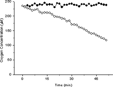 Changes in dissolved oxygen with aerobic respiration by 20 blastocyst stage embryos (open circles) and control (solid circles). Probe concentration 0.6 µM, temperature 37 °C.