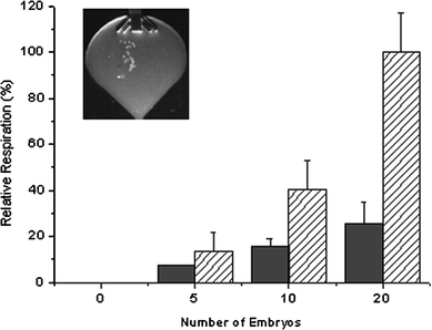 Comparison of oxygen consumption rates between 2 cell (solid bars) and blastocyst stage (hatched bars) preimplantation mouse embryos, with insert showing 20 blastocyst stage embryos in the measuring area of the optimised biochip.