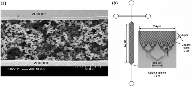 (a) An SEM of a methacrylate-based monolith in a plastic microchannel, adapted with permission from Yang et al.. Reproduced from ref. 56. (b) Solid phase separation medium formed from microfabricated posts rather than packed beads or monolith. Reprinted from Slentz et al.,60 copyright 2002, with permission from Elsevier.