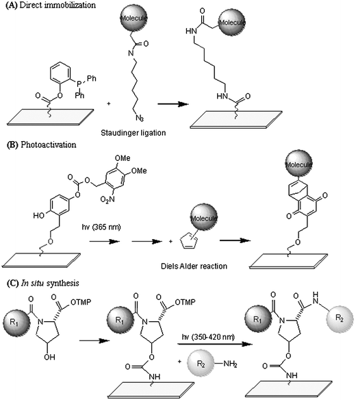 Various strategies developed for fabricating SMM’s. (A) Covalent immobilization using Staudinger ligation.61 (B) Photoactivation strategy followed by capture.63 (C) Sequential molecular assembly in situ.65