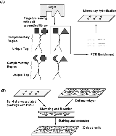 Novel strategies in applying SMM. (A) Self-assembling chemical libraries.82 (B) Metabolizing enzyme toxicity assay on microarrays.85