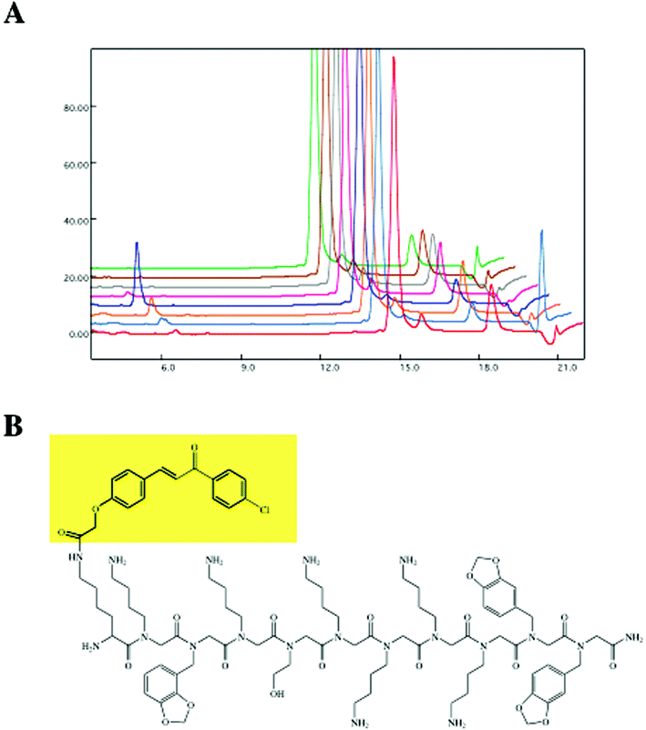 (A) Edman sequence chromatograph of the brightest bead identified from the MBP-Mdm2 screen shown in Fig. 3C. (B) The structure of the “hit” as deduced from the Edman trace. Reprinted from Reddy et al., Transformation of Low-Affinity Lead Compounds into High-Affinity Protein Capture Agents, Chem. Biol., 2004, 11, 1127–1137, Copyright (2004), with permission from Elsevier.