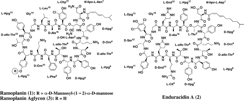 Structure of ramoplanin (1), enduracidin (2) and the ramoplanin aglycon (3).