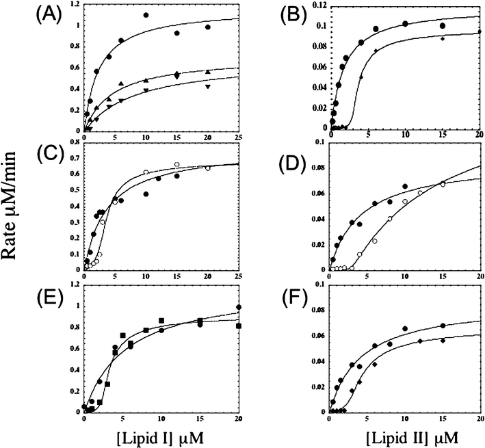 Representative velocity versus substrate concentration curves for MurG (A, C, E) and transglycosylase (B, D, F) reactions in the absence and presence of 1,2 and 3. (A) MurG reaction in the absence (●) and presence (▲ and ▼) of 1 (2 µM and 5 µM, respectively); (B) Transglycosylase reaction in the absence (●) and presence (◆) of 1 (6 µM); (C) MurG reaction in the absence (●) and presence (○) of 2 (6 µM); (D) Transglycosylase reaction in the absence (●) and presence (○) of 2 (6 µM); (E) MurG reaction in the absence (●) and presence (■) of 3 (5 µM); (F) Transglycosylase reaction in the absence (●) and presence (◆) of 3 (6 µM).