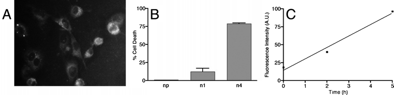 Reprinted with permission from NanoLett., 2005, 5(12), 2552–2556. Copyright 2005 American Chemical Society.