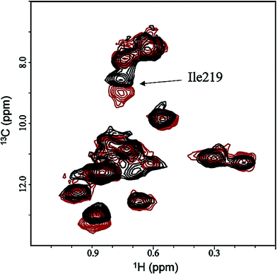 
            13C-HSQC of PTP1B with ligand (red) and without (black) ligand. The chemical shift change for the isoleucine residue 219 indicates binding of the ligand to the corresponding amino acid.