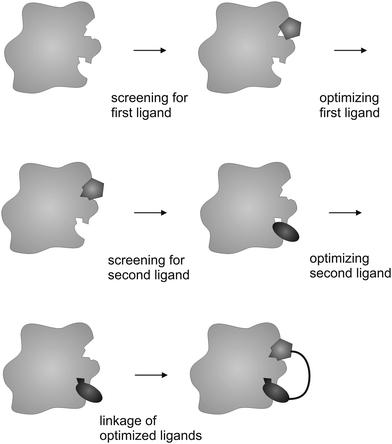 Illustration of the SAR-by-NMR technique. High-affinity binders are identified on the basis of two medium-affinity binders of different but adjacent binding sites.
